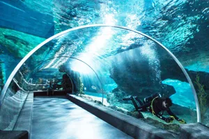 Ocean Tunnel