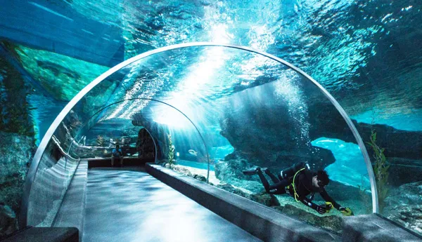 Ocean Tunnel