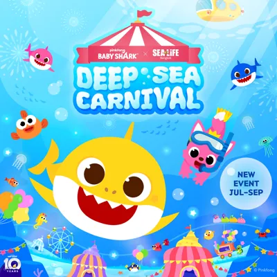 SLBK Baby Shark 1080X1080