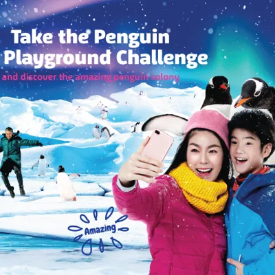 Ice Playground