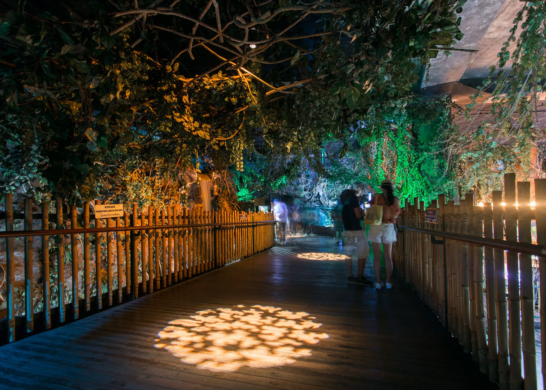 Rainforest (1)