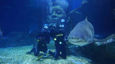 2 people swimming in full diving suits next to a shark in Sea Life Bangkok's Shark Ship Wreck diving experience