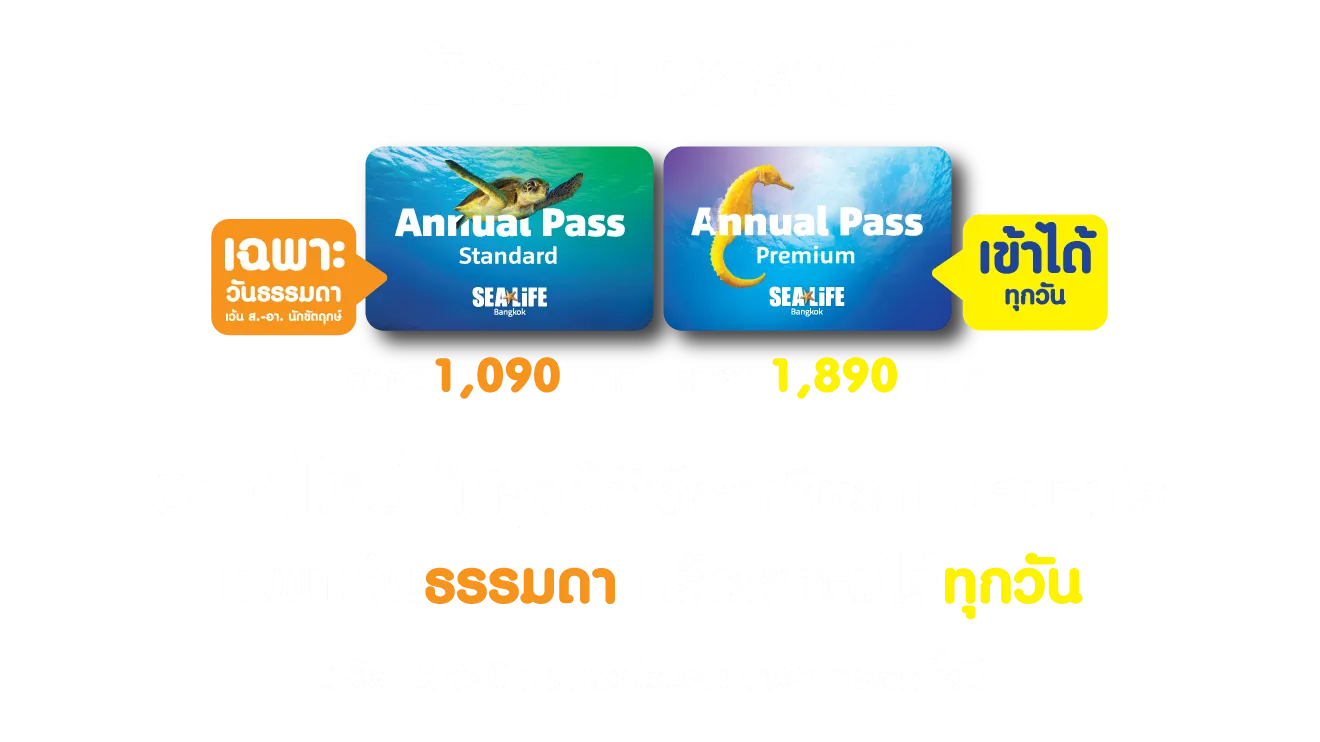 Annual Pass 2022 [AW]