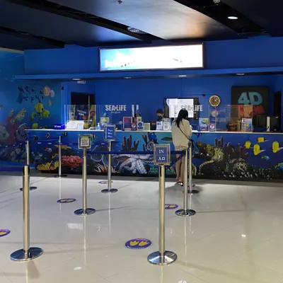 Slbk Information Counter