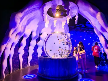 Jelly Fish Dome