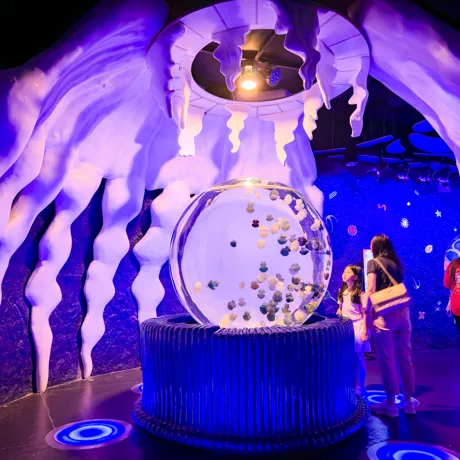 Jelly Fish Dome