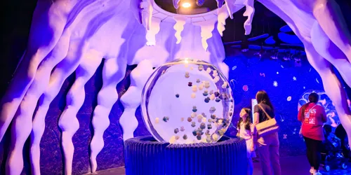 Jelly Fish Dome