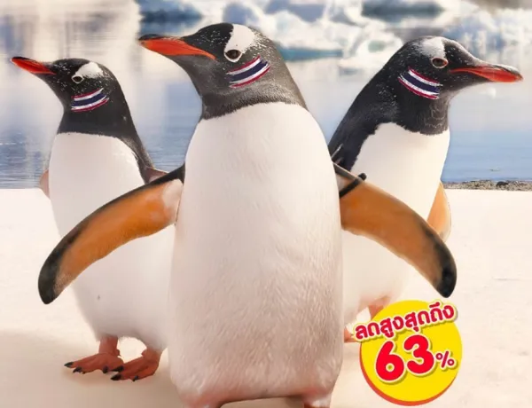 Flash Sale SEA Life Mobile3
