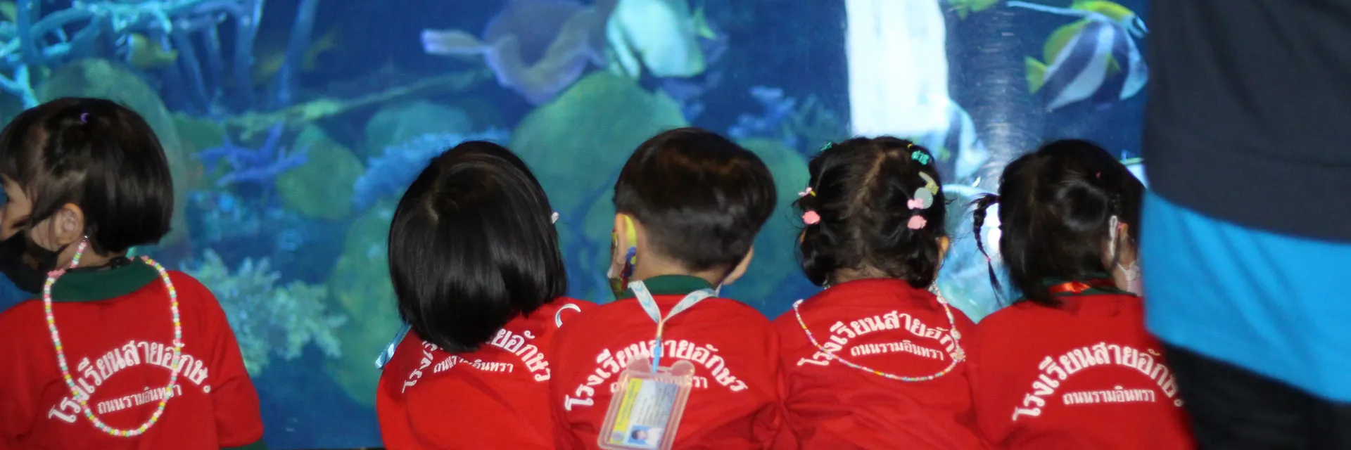 School Top Banner2
