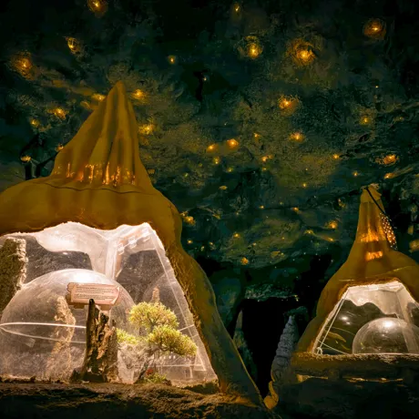 Cave2
