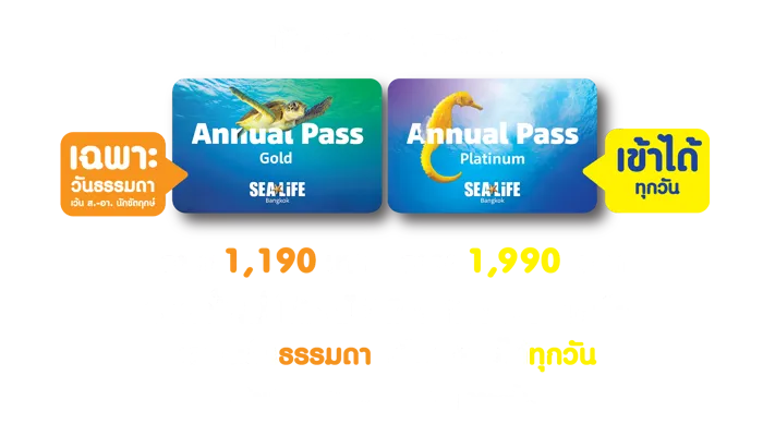 Annual Pass Tv50in 01