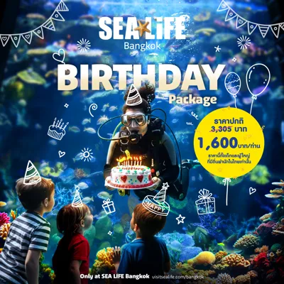 HAPPY BIRTHDAY PACK 2025 01
