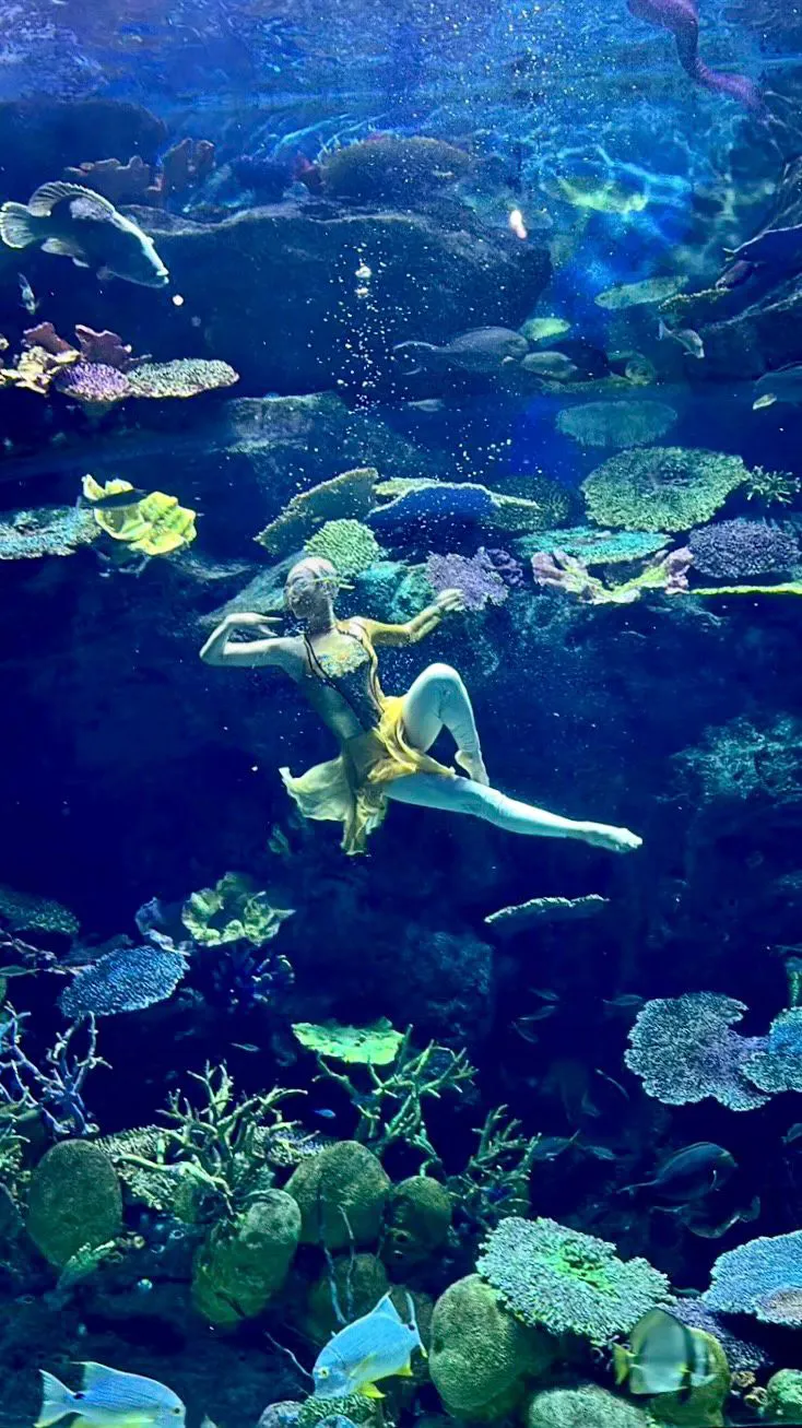 SLBK Underwaterdance 2