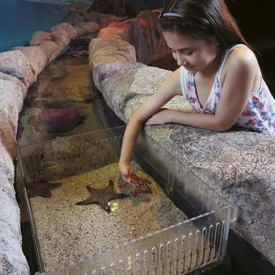 Touchpool3