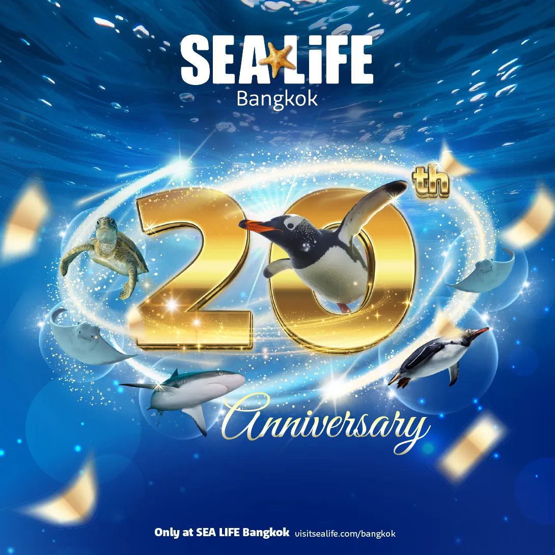 Promotion 20Th Anniversary[No AP]