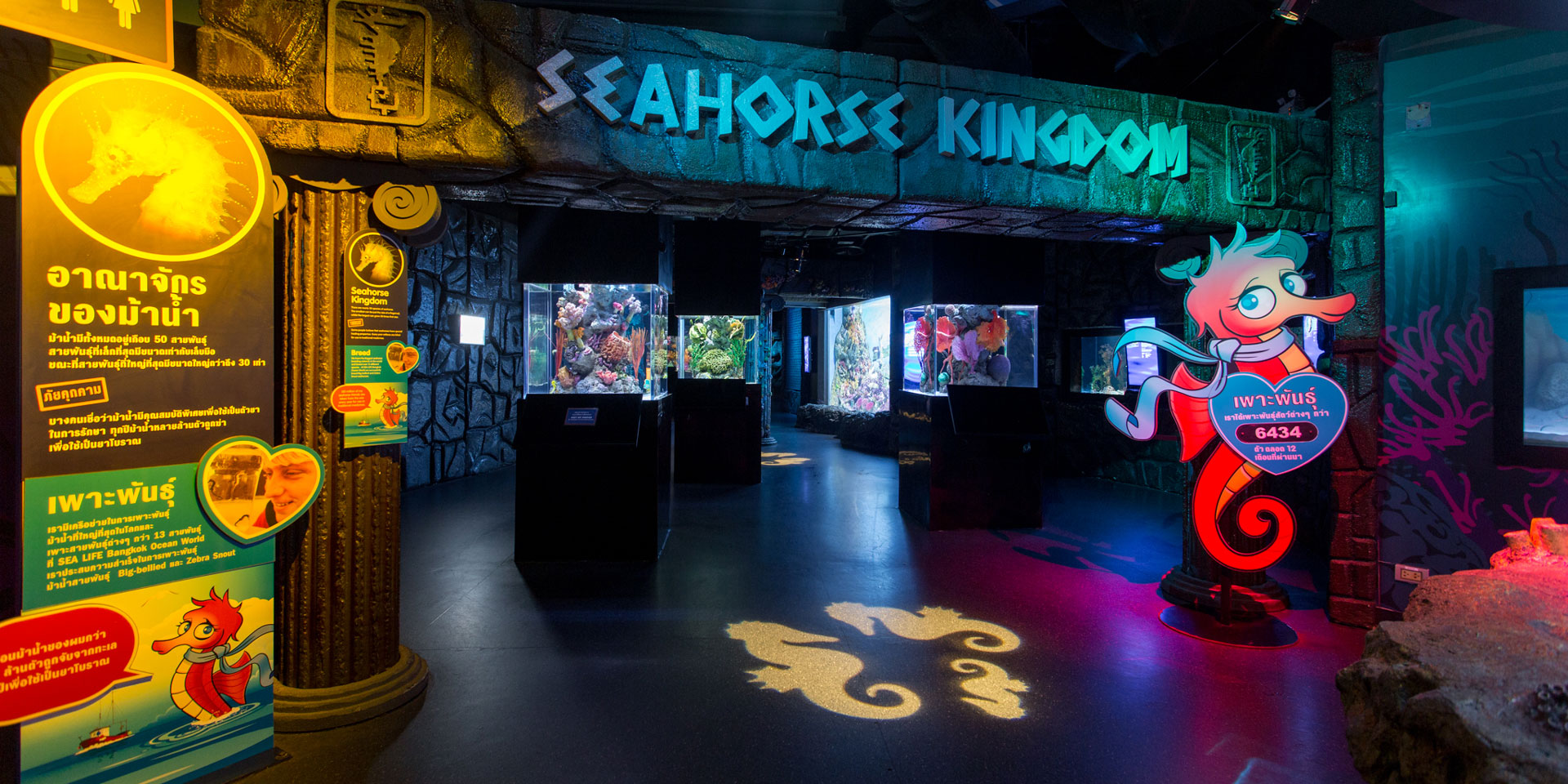 Seahorse Kingsdom2