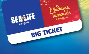 BIG TICKET