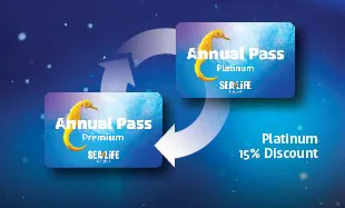 Ticket Online AP 2023 01