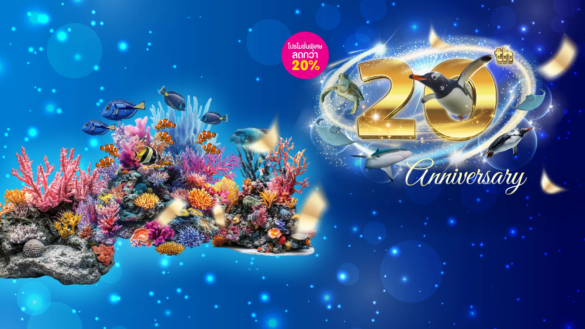 ซื้อบัตรเข้าชม