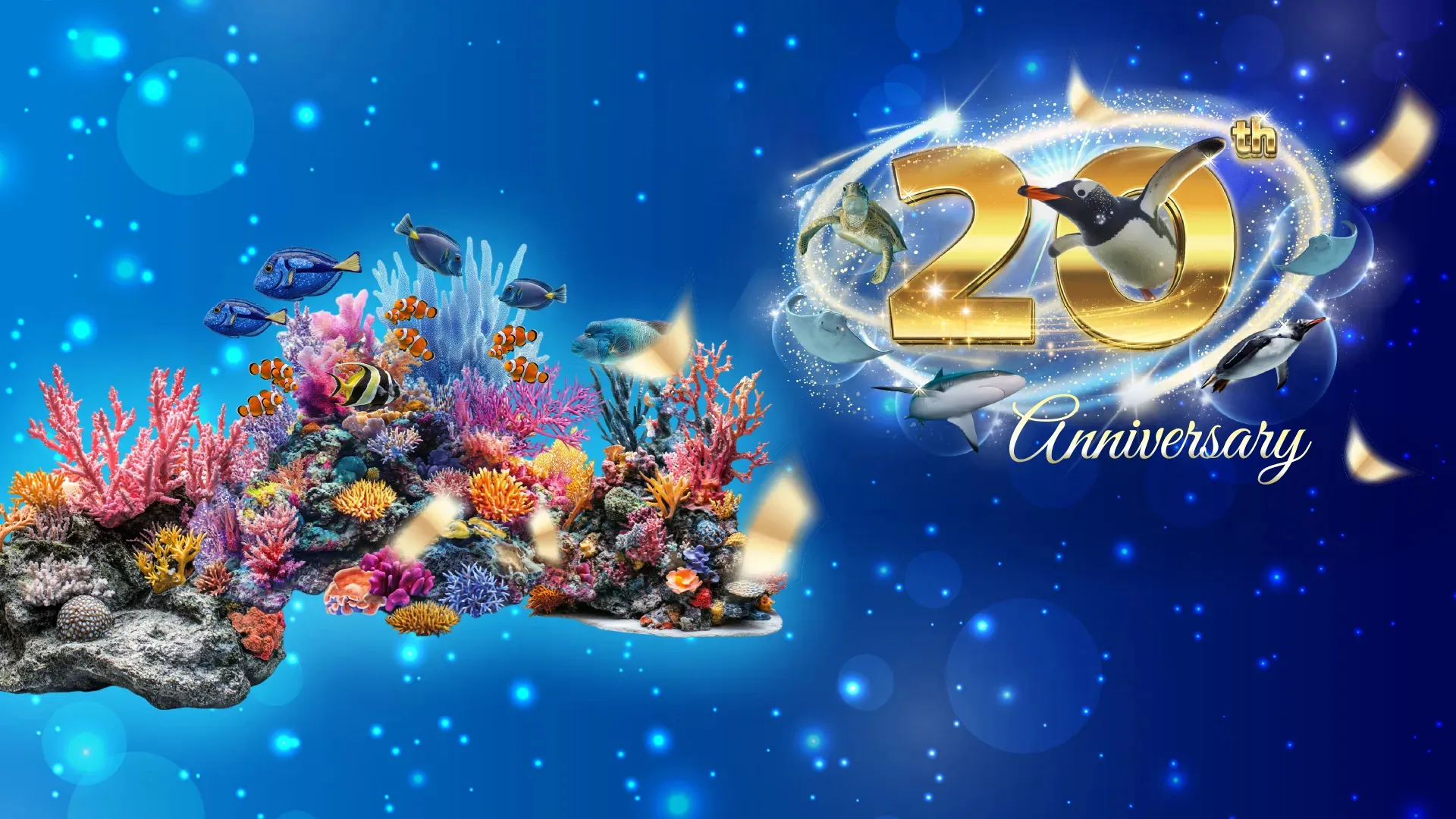 Promotion 20Th Anniversary Website Home Page Banner EN