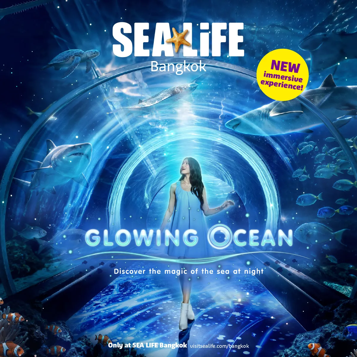 Glowing Ocean Social Meta And Google B (1)