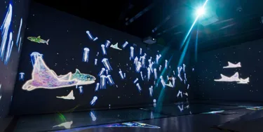 SEA LIFE Bangkok Ocean World interactive shark walk engaging displays.