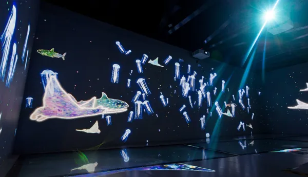 SEA LIFE Bangkok Ocean World interactive shark walk engaging displays.
