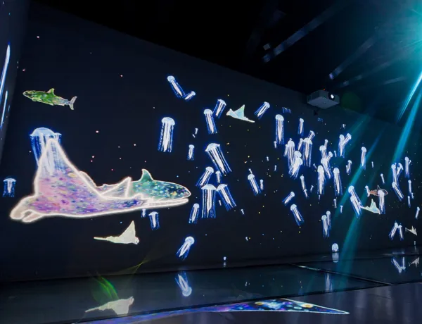 SEA LIFE Bangkok Ocean World interactive shark walk engaging displays.