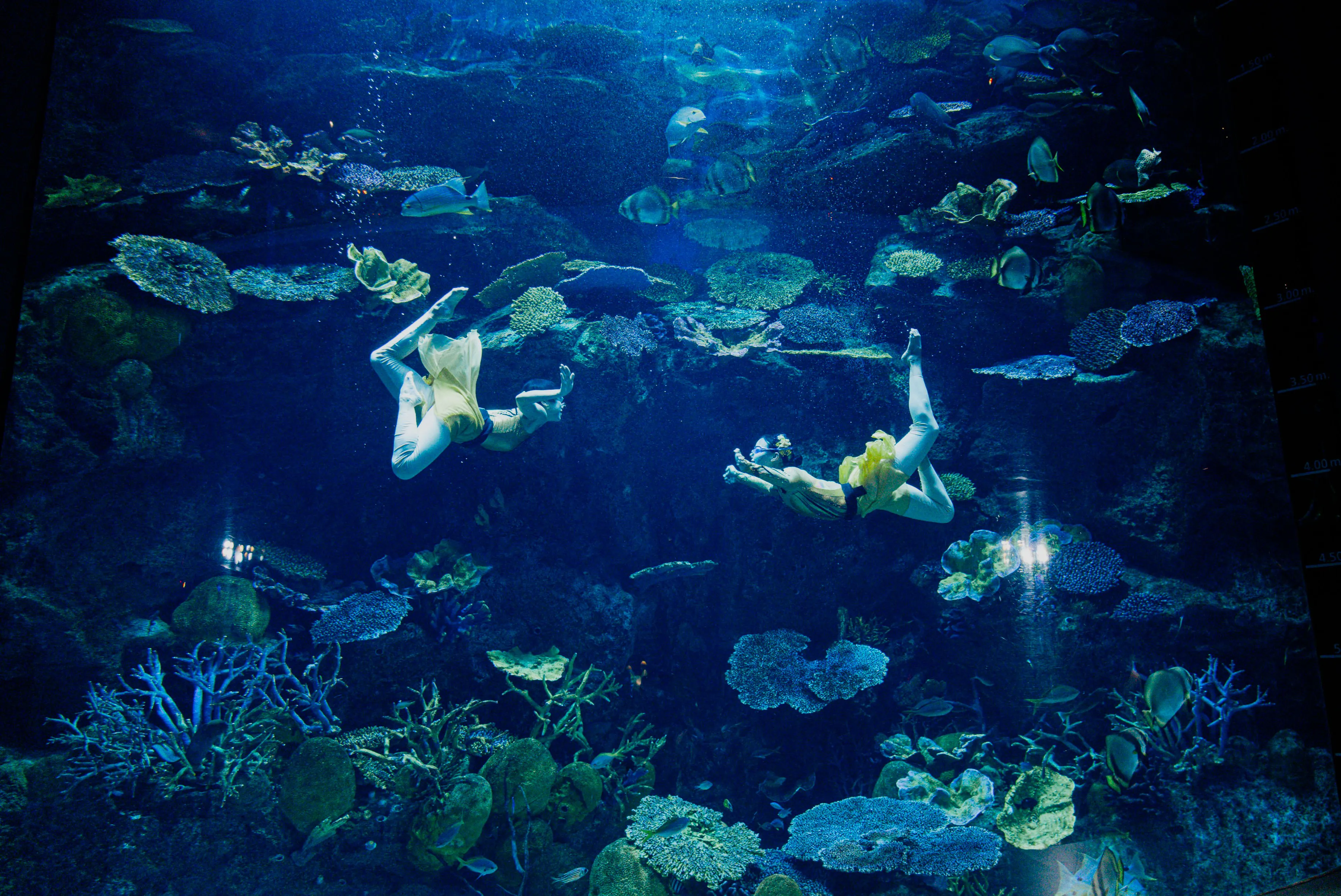 SLBK Underwaterdance 3