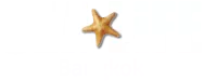 Sl Web Logo Bkk