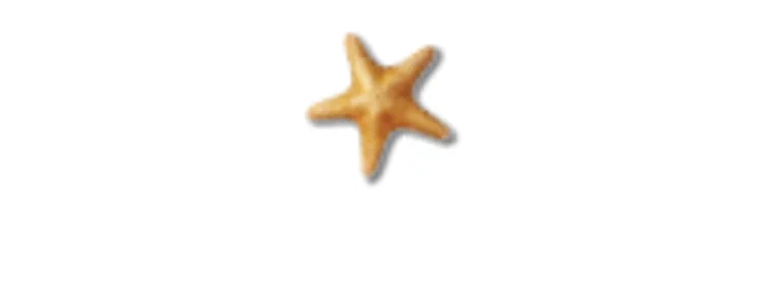 Sl Web Logo Bkk