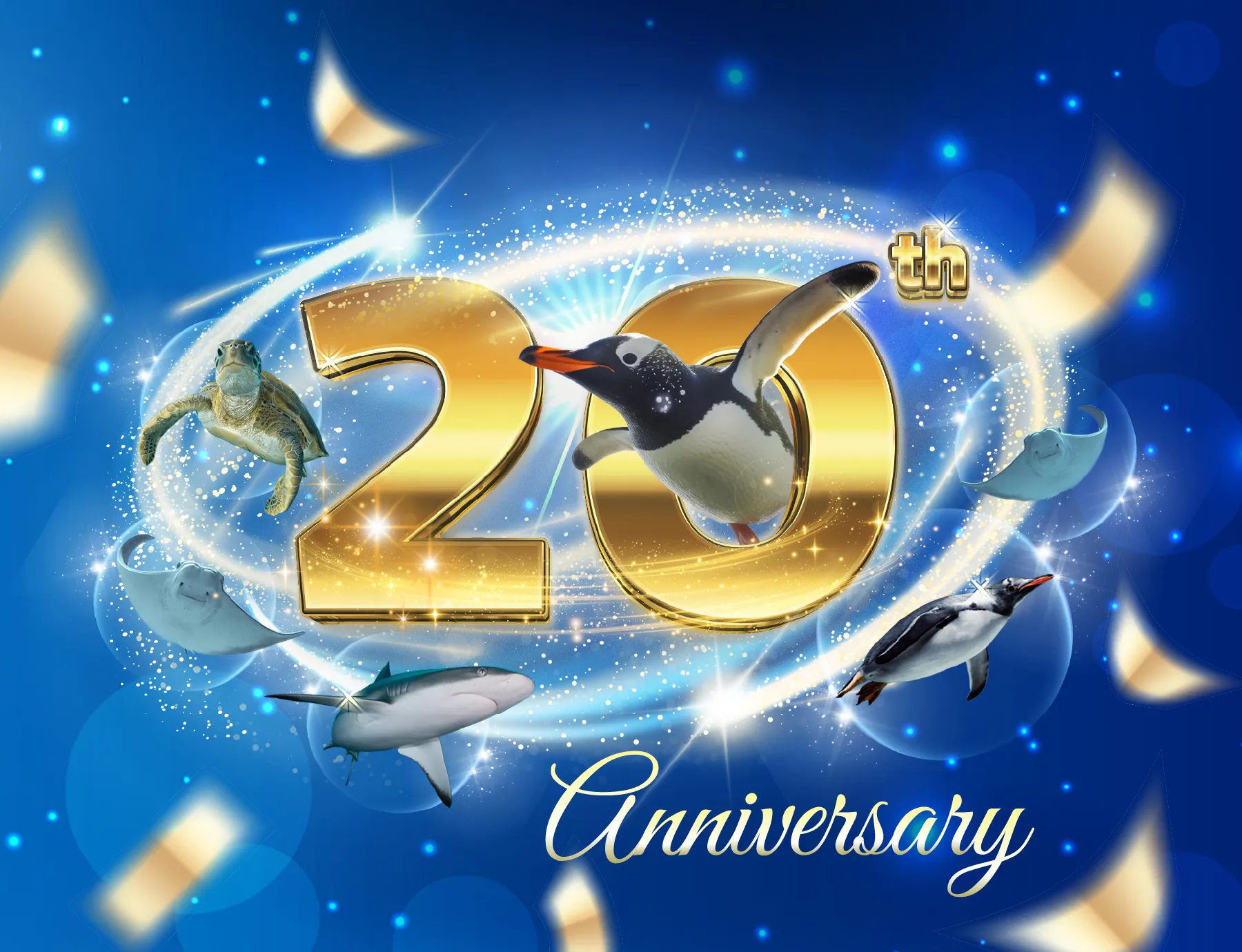 Promotion 20Th Anniversary Website Homepage 4 Column