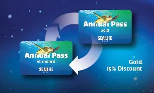 Ticket Online AP 2023 02