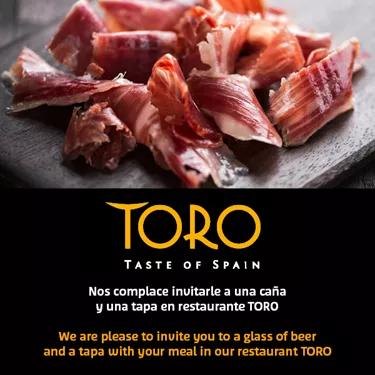 Toro Silver