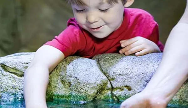 Niño Touch Pool 479X360px
