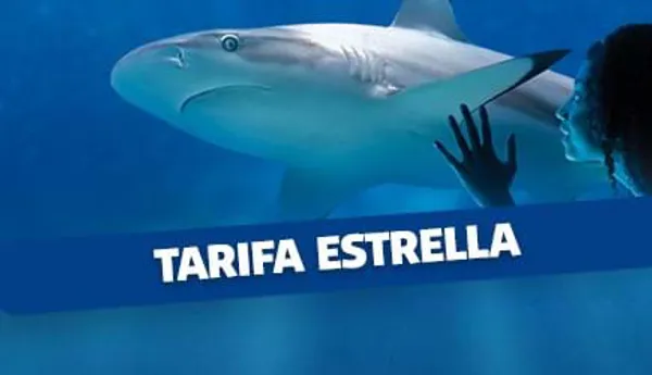 Tarifa Estrella