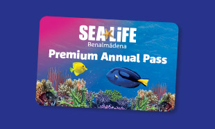 Accesso 310X187px Premium Annual Pass