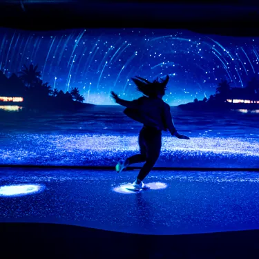 A Bioluminescent Ocean Glows Under Guest’S Footsteps At Night