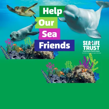 Home Page Header Mobile 1200X1500 (1)