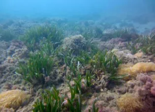 Captura De Pantalla 2026 02 09 125937