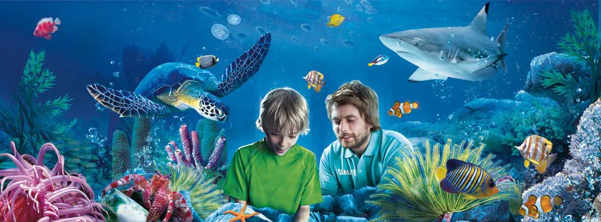 Generica Acuario