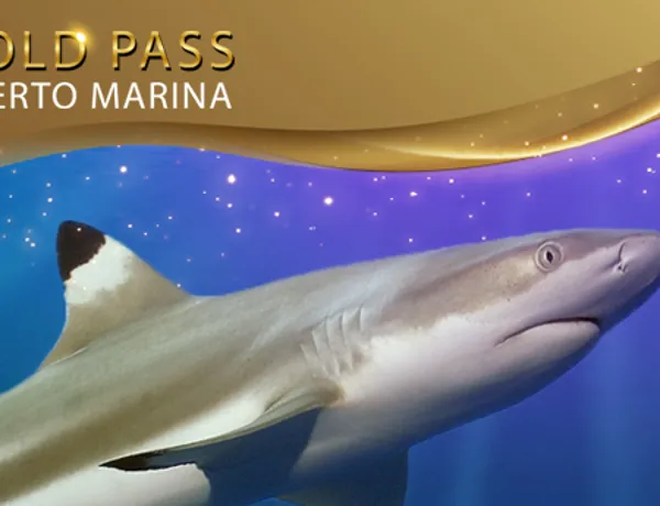 600X345 Gold