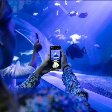 Imagen Seascan