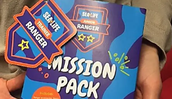Activity Pack