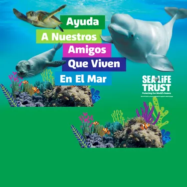 Home Page Header Mobile 1200X1500