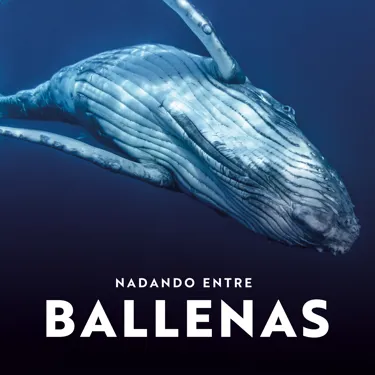 SWIMMING WITH HUMPBACKS EUROPEAN SPANISH SOCIAL 1 (1)