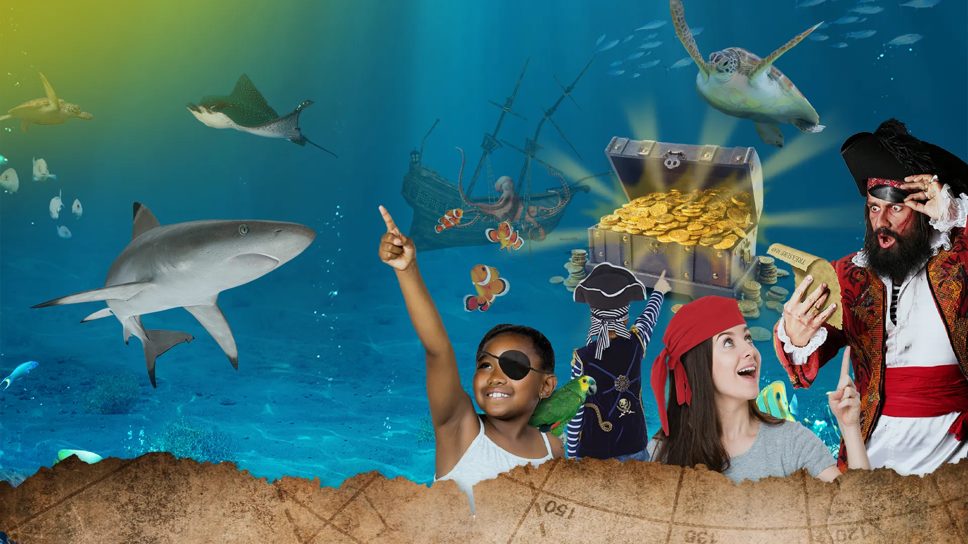 SEALIFE PIRATES SOCIAL BANNERS