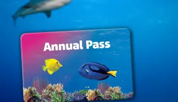 Sl Annual Pass 360X276