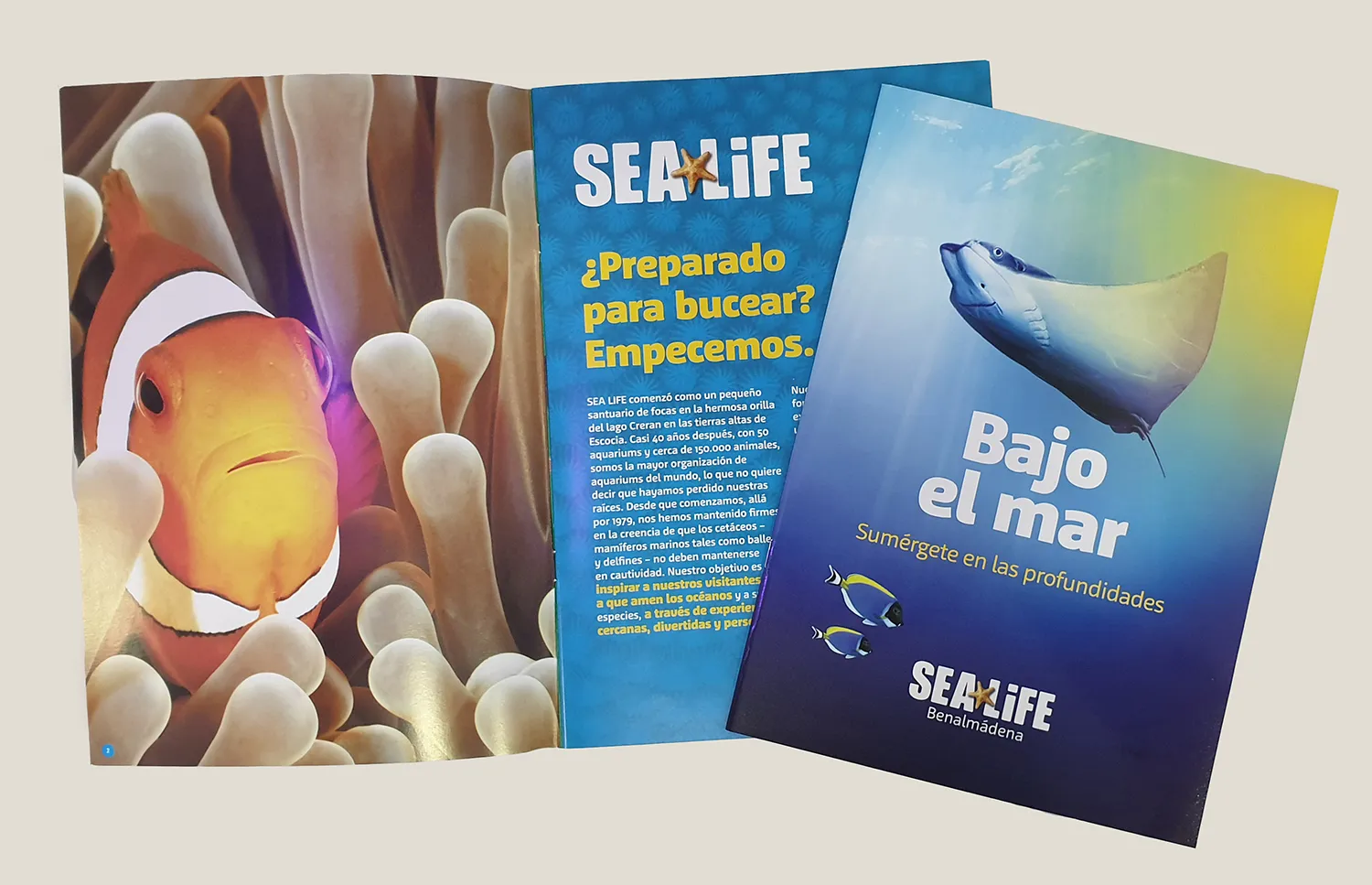 Foto Guia Español[1]