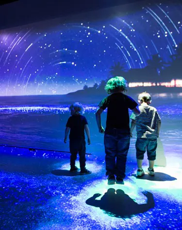 Day And Night Experience (2)